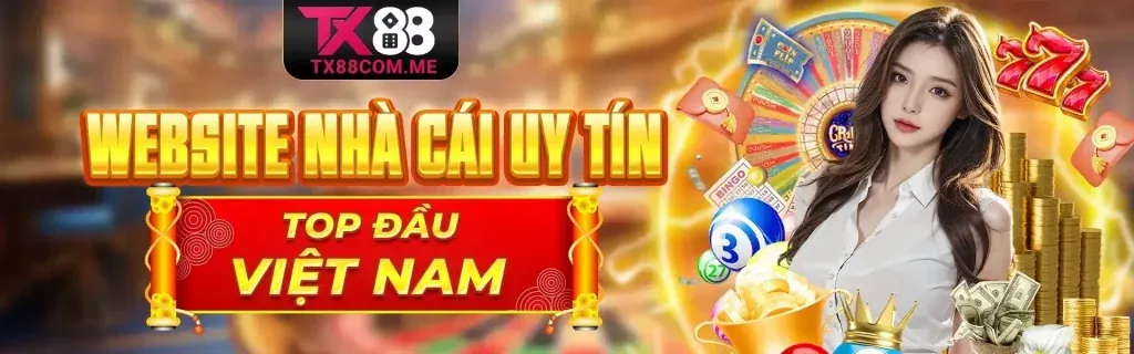 Sứ mệnh và tầm nhìn phát triển của 009casinoz